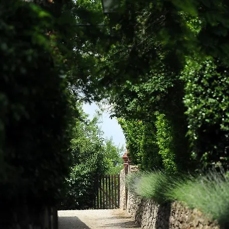 Castello Di Fighine * 산카시아노데이반니